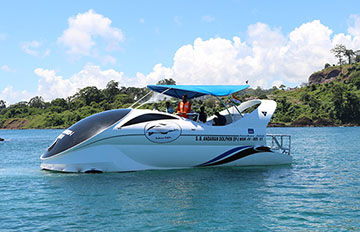 bottom glass dolphin ride boat travels andaman activity