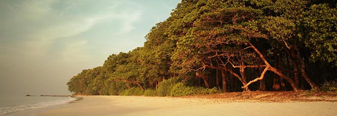 Amazing Andaman Honeymoon Package-Andaman Beach Travels