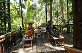 Honeymoon Treat Standard Package-Andaman Beach Travels
