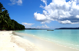 Nature Up Deluxe Package-Andaman Beach Travels