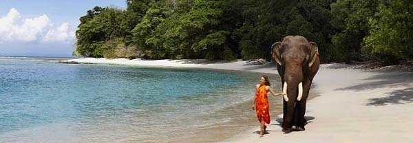 Nature Up Luxury Packages-Andaman Beach Travels