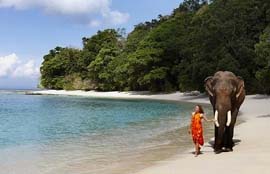 Nature Up Luxury Package-Andaman Beach Travels