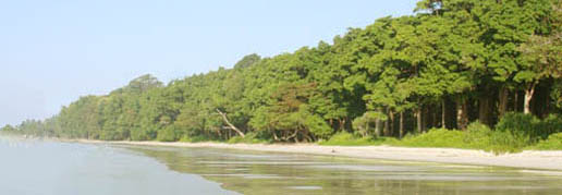 Nature Up Premium Package-Andaman Beach Travels