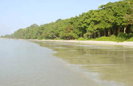 Nature Up Premium Package-Andaman Beach Travels